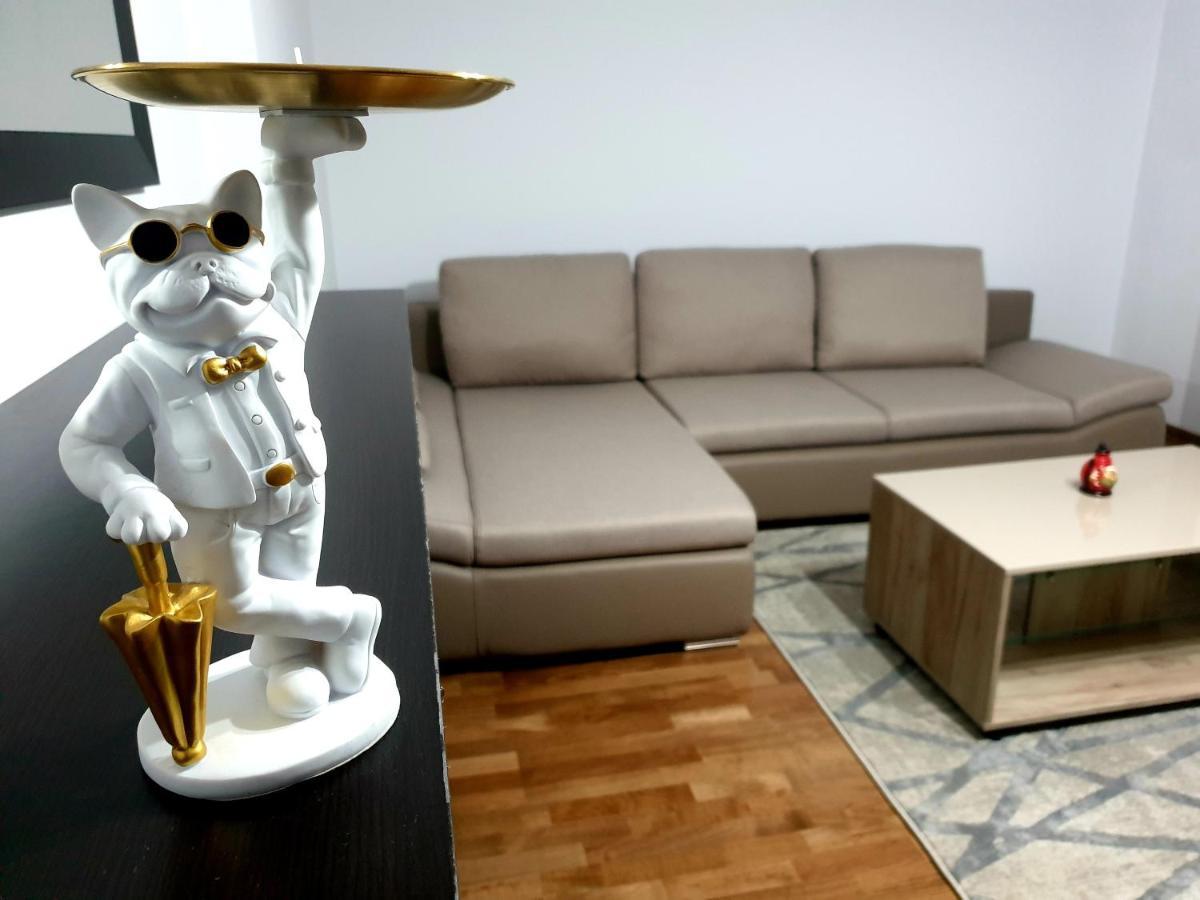 Moonrise Apartment 布拉索夫 外观 照片